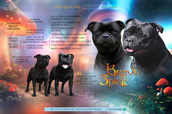 ����� ���������������� �����������